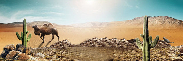 户外活动BANNER