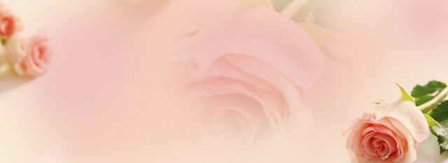 BANNER背景促销