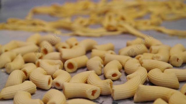 他 意大利通心粉 面条 食品 餐 厨房 弗里施 意大利语