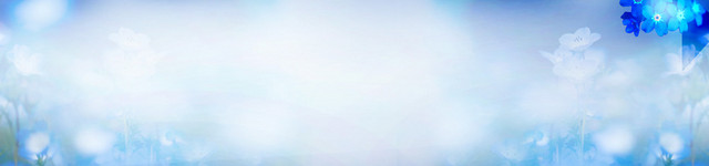 淘宝女包清新蓝色花纹背景BANNER