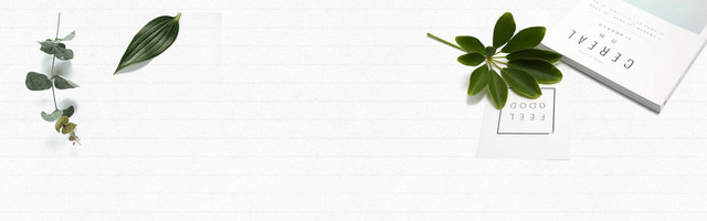桌面白色简约文艺范BANNER