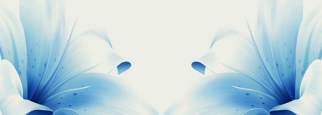 百合花花纹背景BANNER