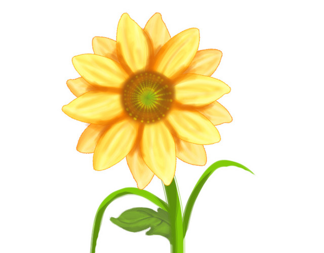 春天夏天黄色向日葵手绘插画PSD素材