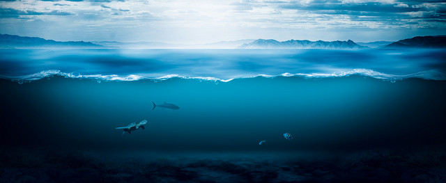 酒酒文化蓝色海洋背景