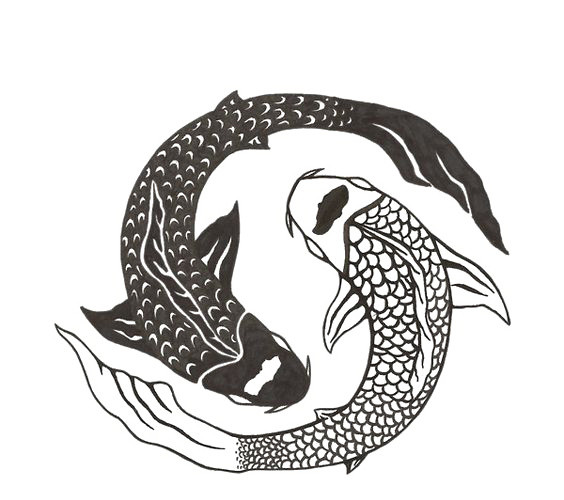 锦鲤