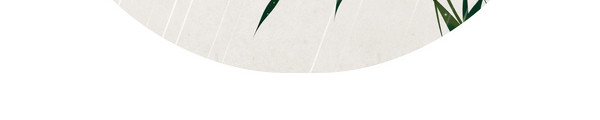 雨