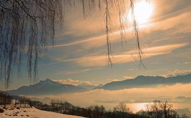 旅游悠远雪山杨柳远景宣传背景图片
