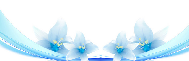 涂鸦兰花经典背景BANNER