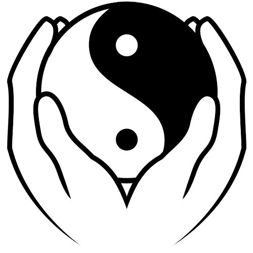 双手捧着太极