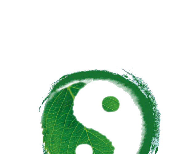 绿色太极