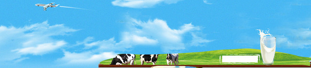 电商牛奶乳制品奶牛草原背景BANNER