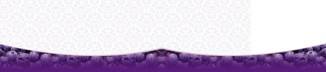 牛奶乳制品促销蓝莓背景BANNER