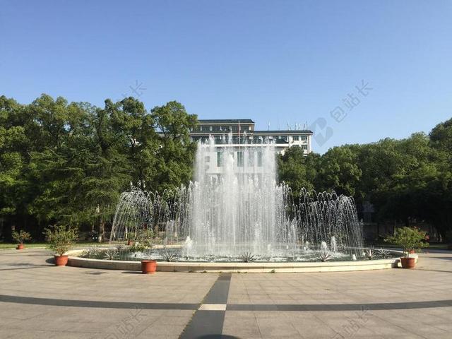 武汉 大学 华师