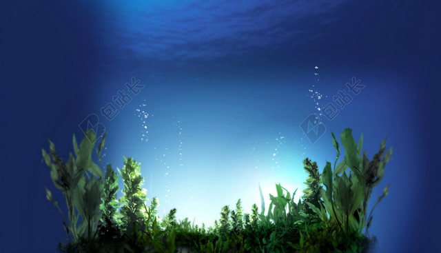 夏日清凉海藻蓝色背景素材