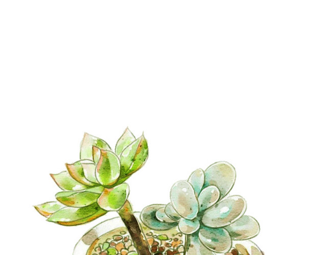 手绘植物
