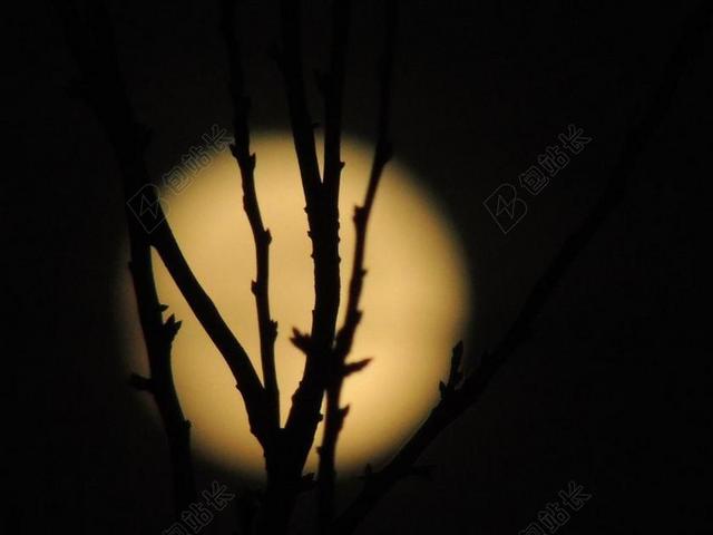 月 望月 暗 夜  背景 细节