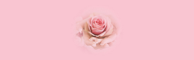 美甲玫瑰花背景BANNER