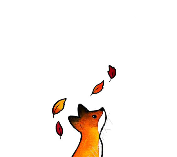 小狐狸