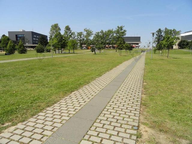 维尔茨堡 德国 景观 校园 草 树 建筑物 人行道 石