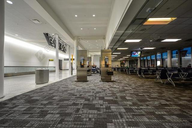机场 终端 电话 空 航空公司 等待 飞行 旅行 离境