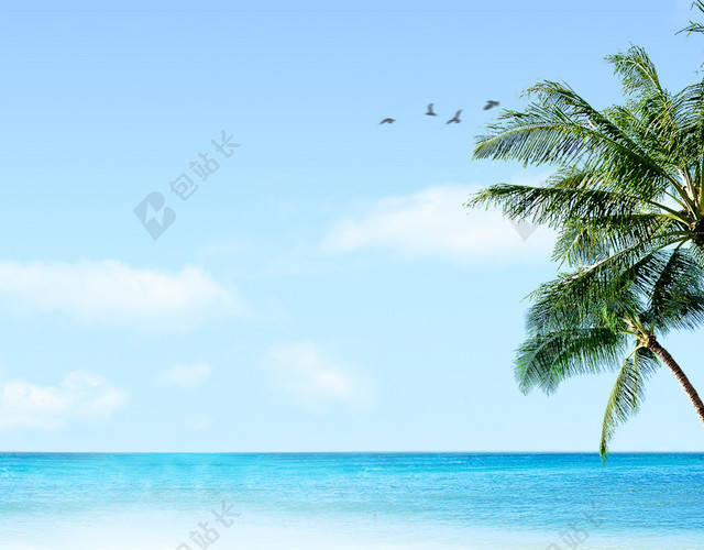 夏威夷风情海边美景背景图