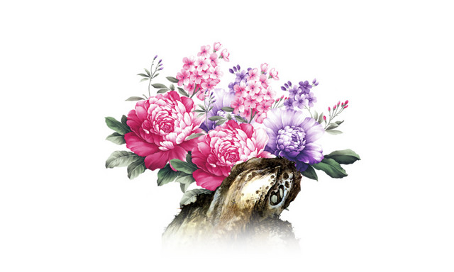 九九重阳节登高赏花素材 九九重阳节登高赏花素材