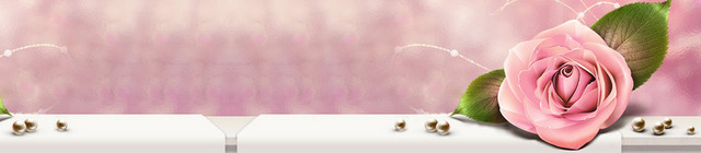 护肤品温馨粉玫瑰背景BANNER