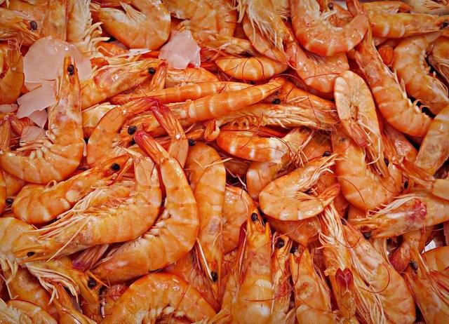 虾 大虾 动物 海鲜 十足甲壳动物 煮熟的 食品 营养 吃