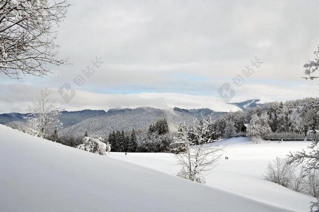 冬天 现场 山 仙境 森林 冷 户外 日落 雪 度假 冰