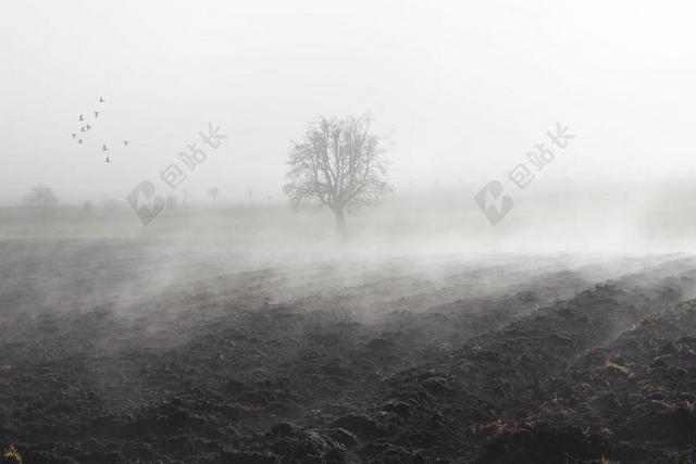 雾 心情 景观 雾银行 大雾天 11 月 耕地 耕种 蒸汽