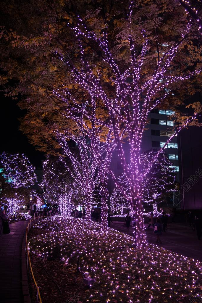 紫色广告都市行道树戴上绚丽彩灯宣传背景图片