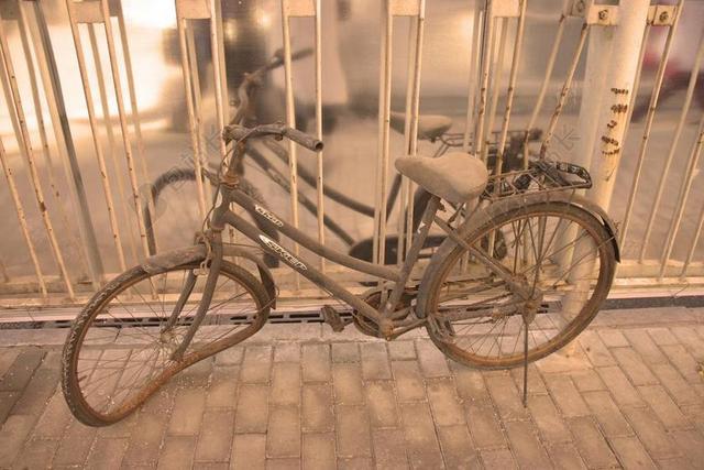 自行车 交通工具 街头