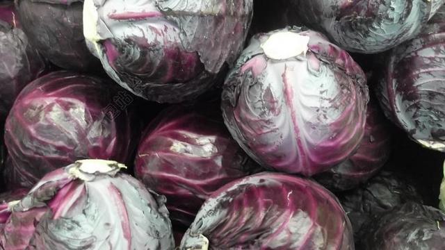 卷心菜 蔬菜 食品 紫甘蓝