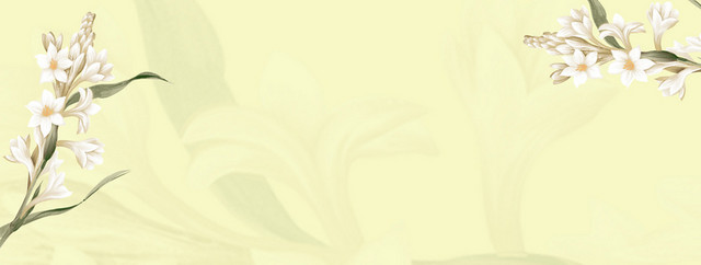 米黄色韩国手绘花纹BANNER背景