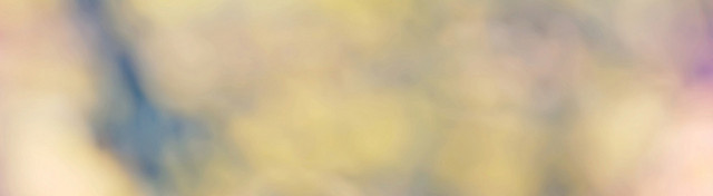 纯色BANNER创意设计