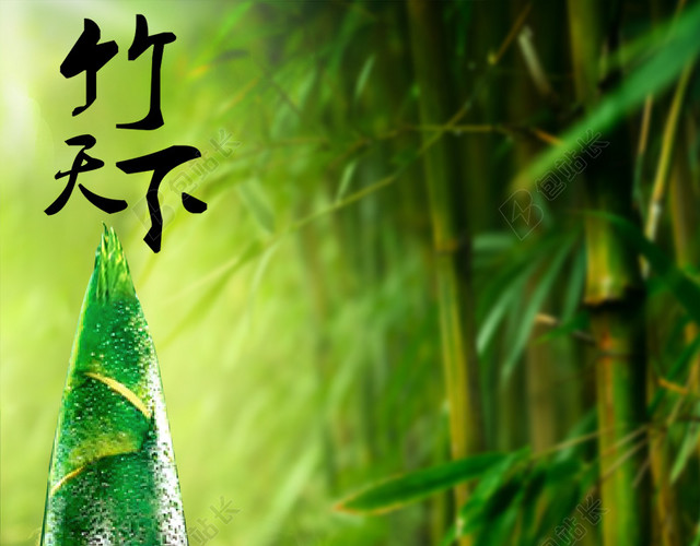 绿色清新竹林背景