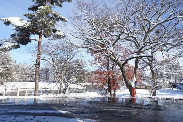 日本 北方 雪地 轻井泽