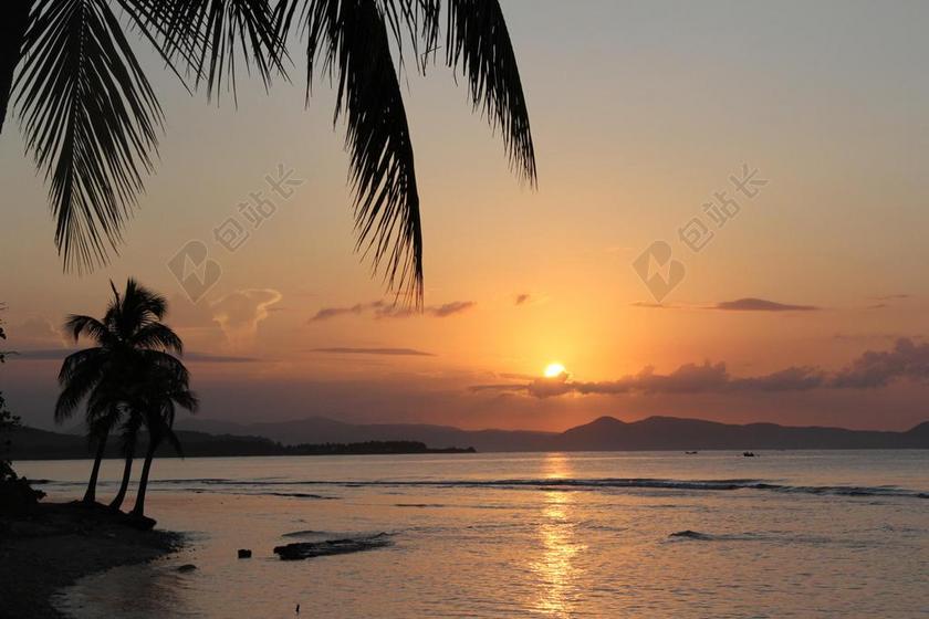 海滩 日出 海地 加勒比海 棕榈树 热带 海洋 日落 天堂