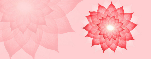 粉色花纹唯美背景BANNER