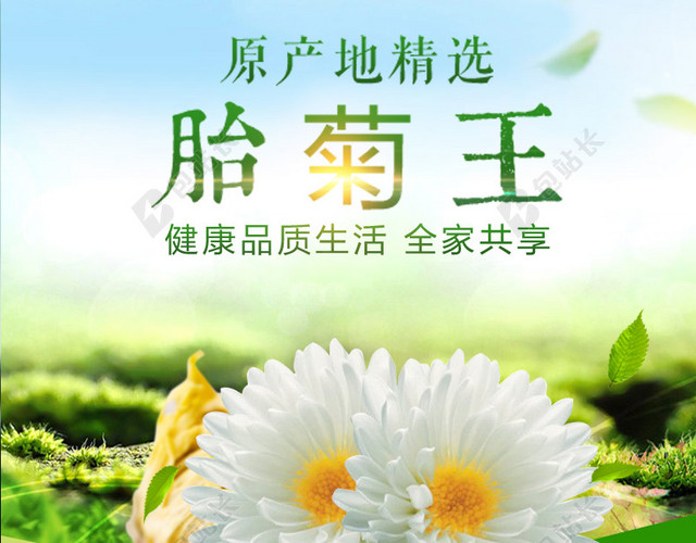 小清新食品促销主图