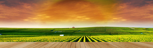 茶叶农庄高大上BANNER