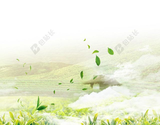唯美梦幻茶叶主图背景图