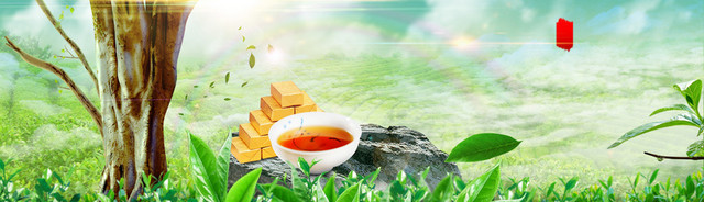 简约清新绿茶海报