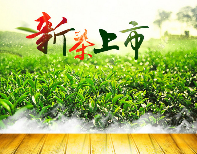 清新茶树木板背景图