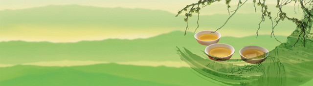 茶文化BANNER