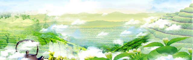 绿色茶叶背景