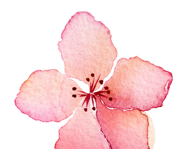 水彩桃花