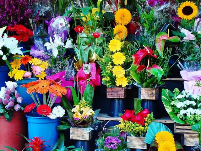 鲜花 鲜花店 花园