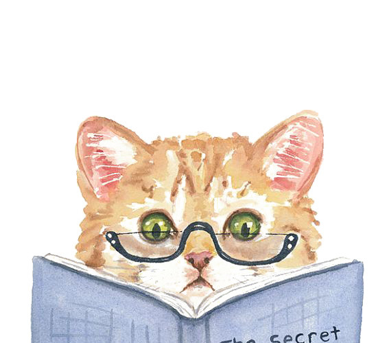 看书的猫