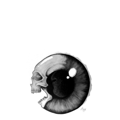 眼球